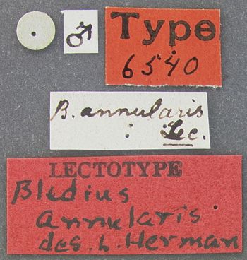 Media type: image;   Entomology 6540 Aspect: labels